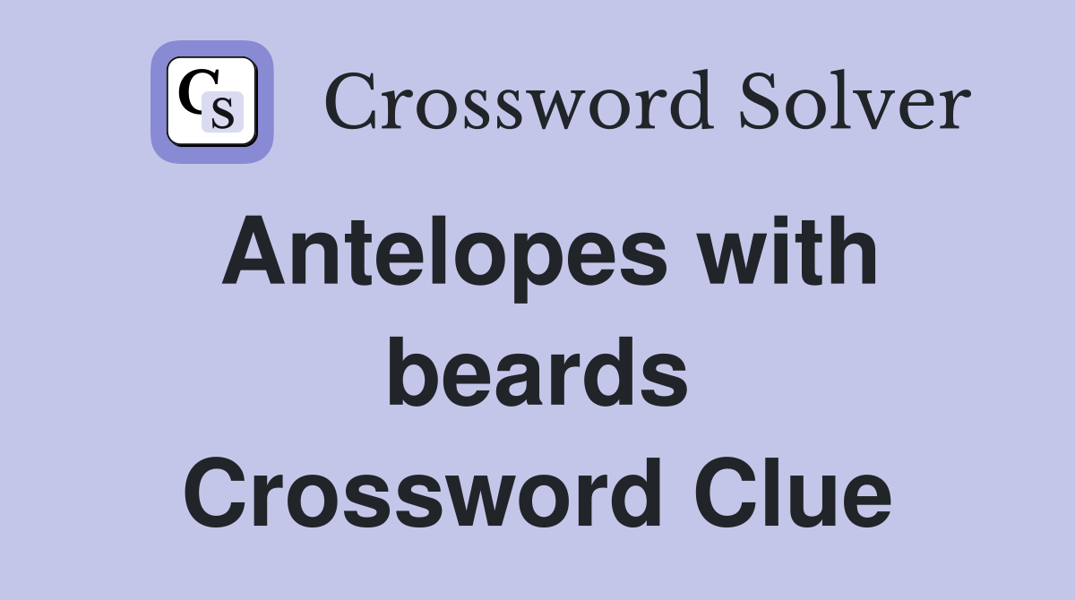 Antelopes with beards Crossword Clue