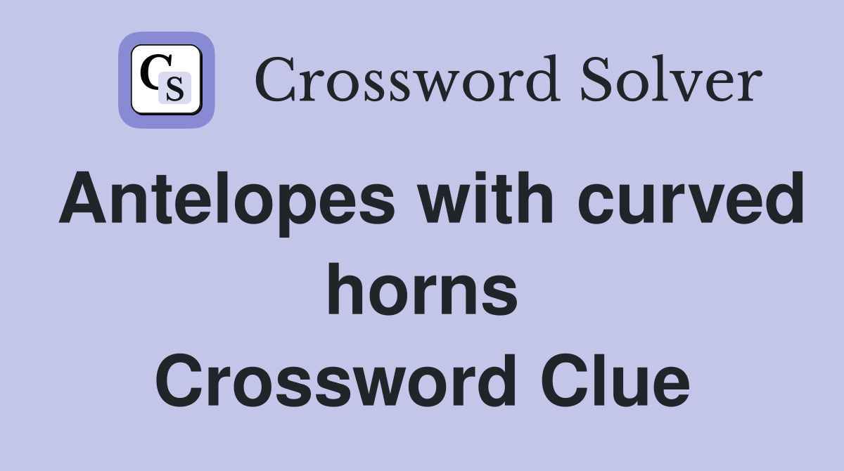 Antelopes with curved horns Crossword Clue