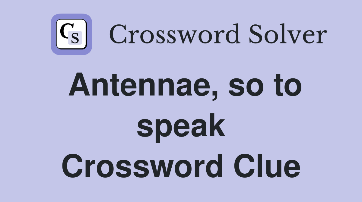 Antennae, so to speak Crossword Clue