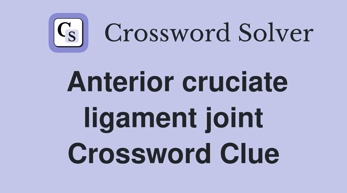 Anterior cruciate ligament joint Crossword Clue