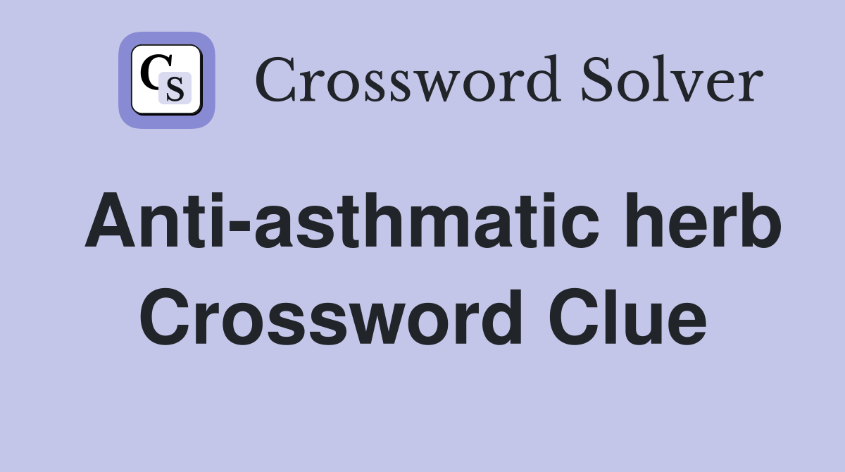 Anti-asthmatic herb Crossword Clue