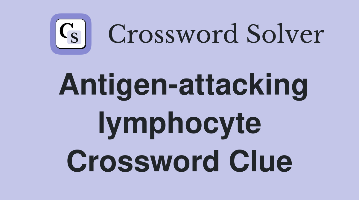 Antigen-attacking lymphocyte Crossword Clue