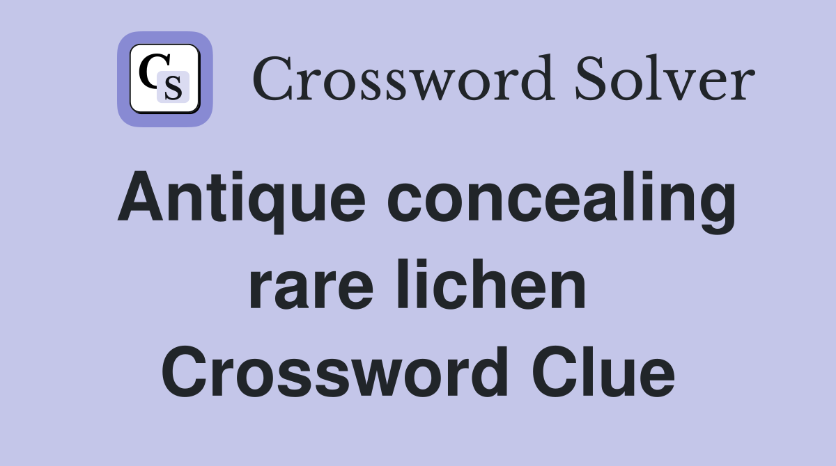 Antique concealing rare lichen Crossword Clue