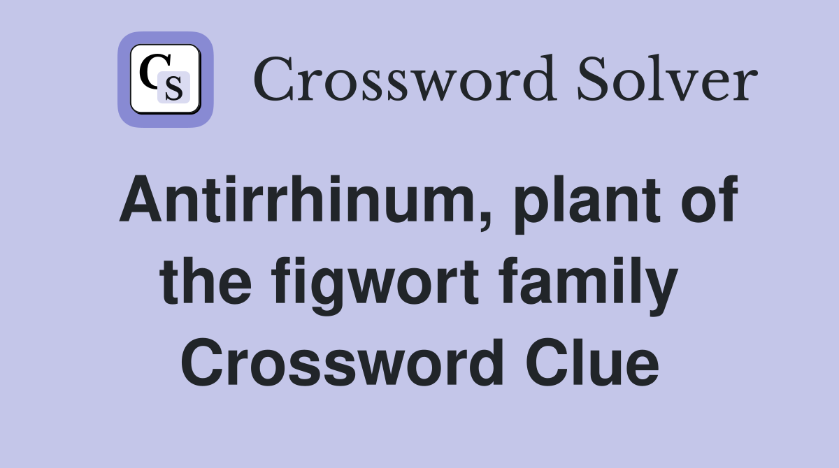 Antirrhinum, plant of the figwort family Crossword Clue