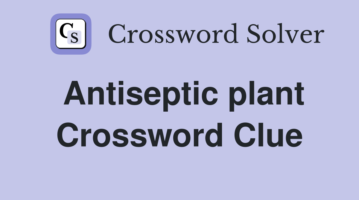 Antiseptic plant Crossword Clue