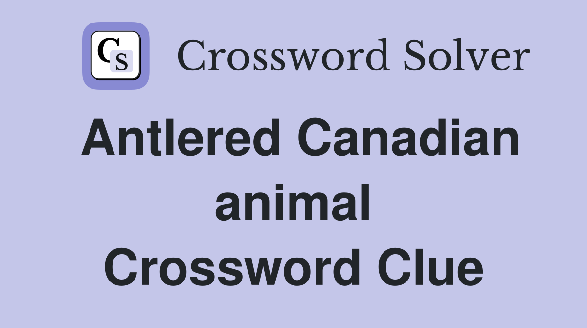 Antlered Canadian animal Crossword Clue