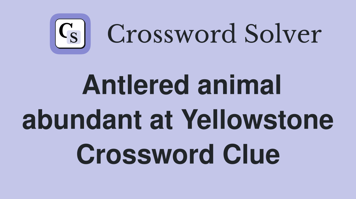Antlered animal abundant at Yellowstone Crossword Clue