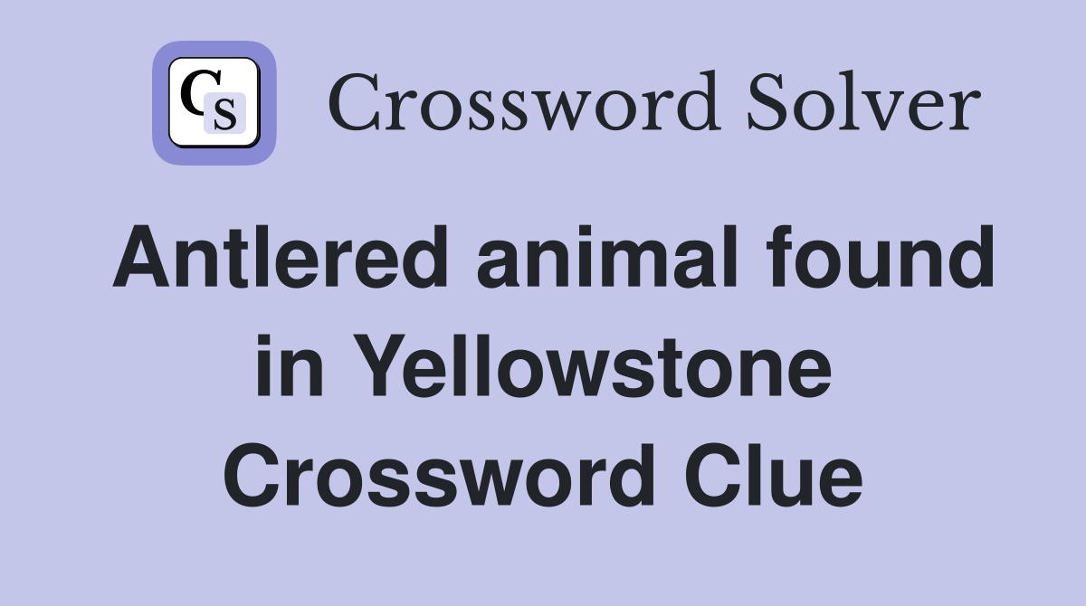 Antlered animal found in Yellowstone Crossword Clue
