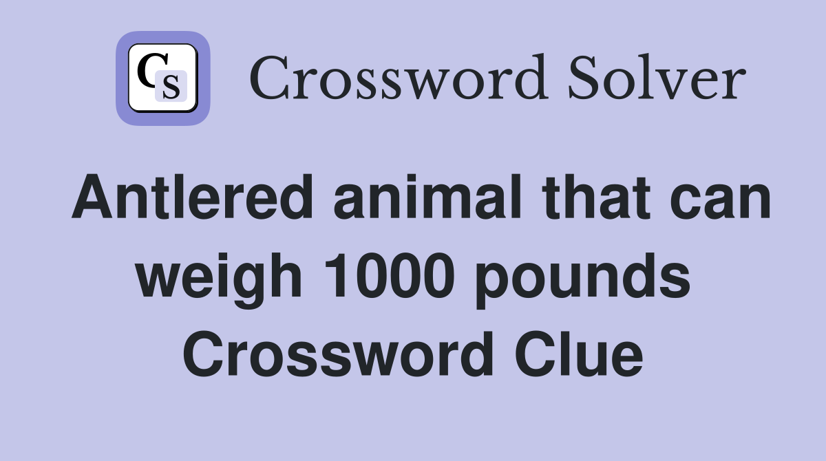 Antlered animal that can weigh 1000 pounds Crossword Clue