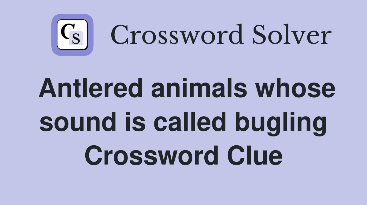 Antlered animals whose sound is called bugling Crossword Clue