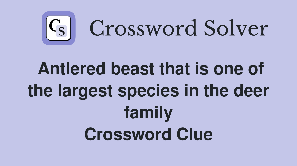 Antlered beast that is one of the largest species in the deer family Crossword Clue