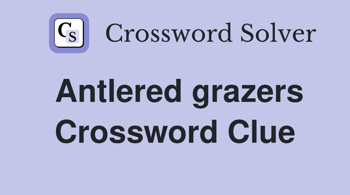 Antlered grazers Crossword Clue