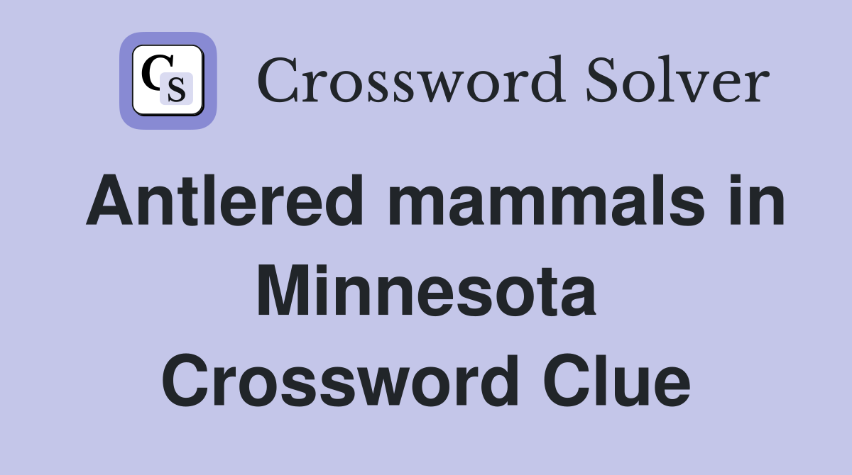 Antlered mammals in Minnesota Crossword Clue