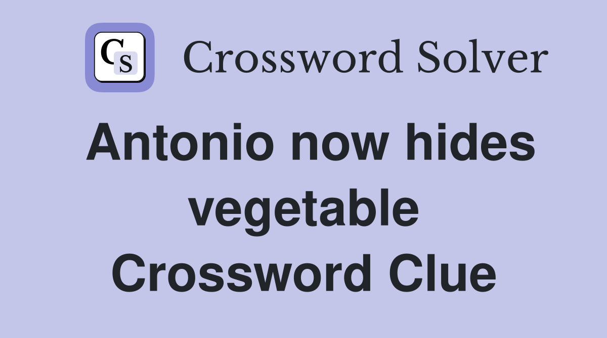 Antonio now hides vegetable Crossword Clue