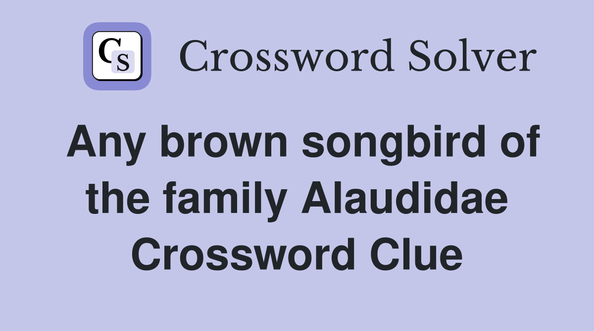 Any brown songbird of the family Alaudidae Crossword Clue