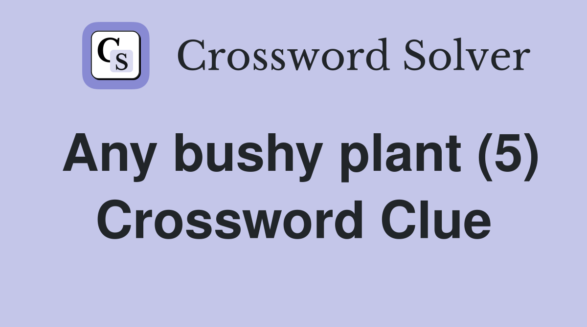 Any bushy plant (5) Crossword Clue