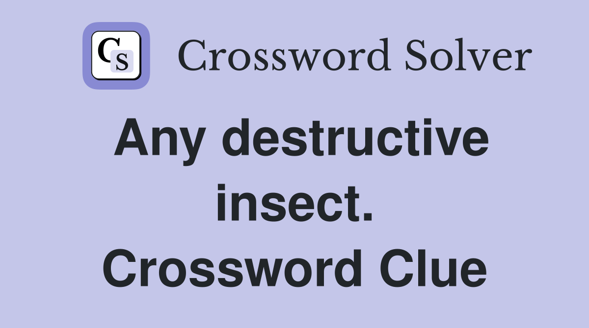 Any destructive insect. Crossword Clue