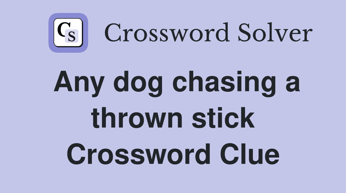 Any dog chasing a thrown stick Crossword Clue