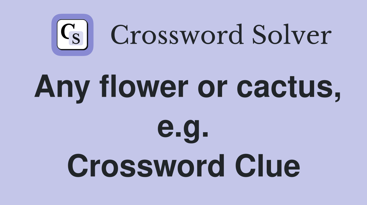 Any flower or cactus, e.g. Crossword Clue