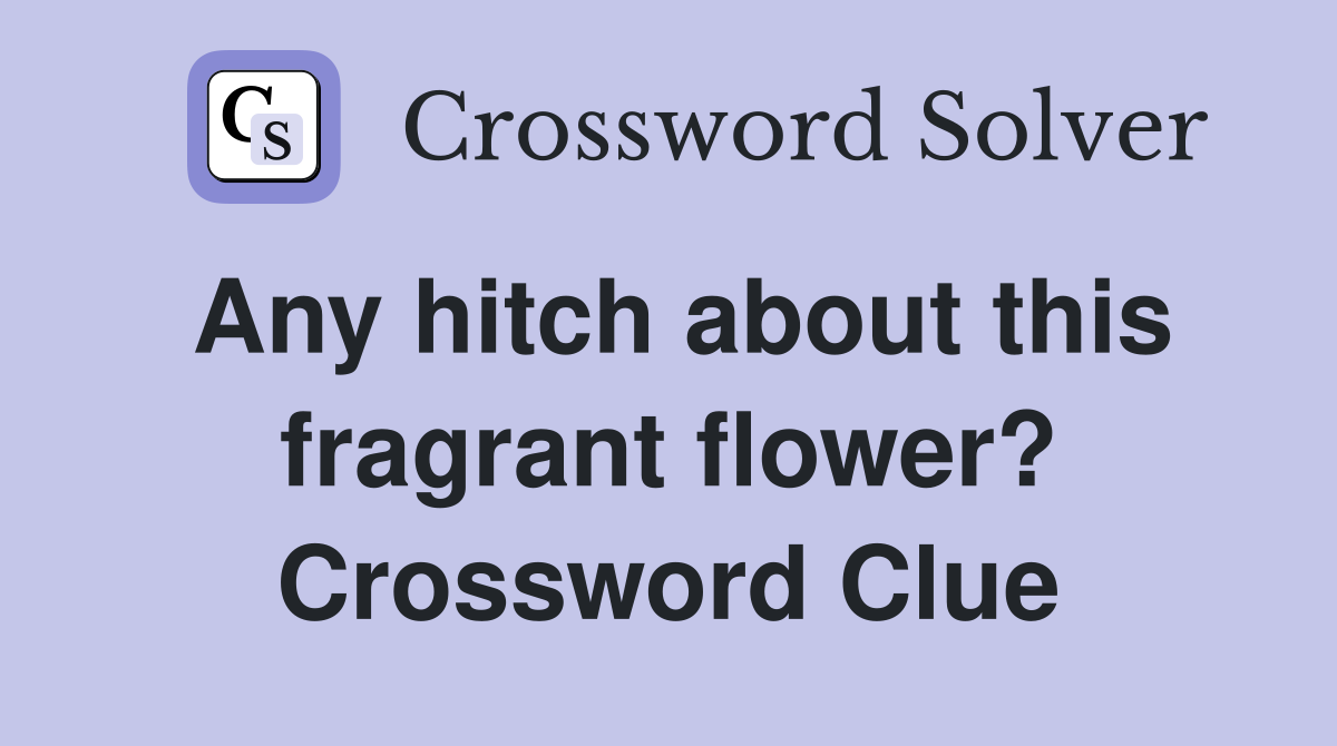 Any hitch about this fragrant flower? Crossword Clue