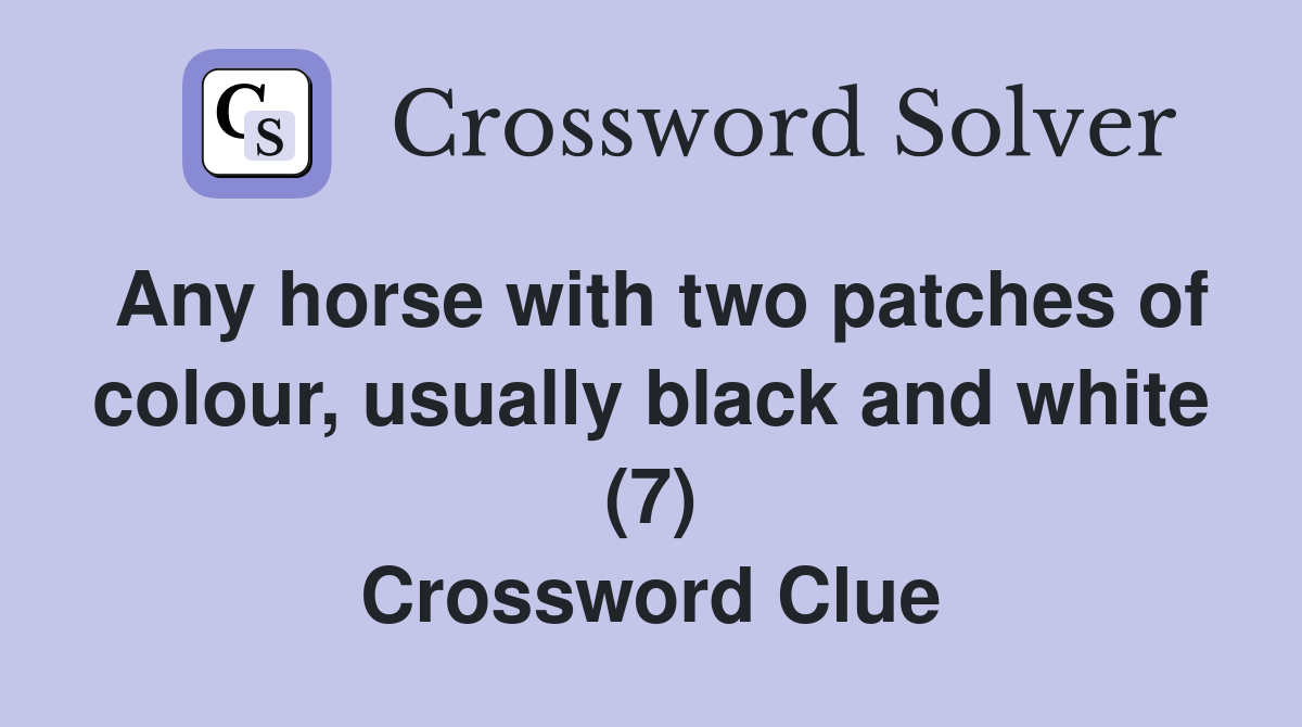 Any horse with two patches of colour, usually black and white (7) Crossword Clue