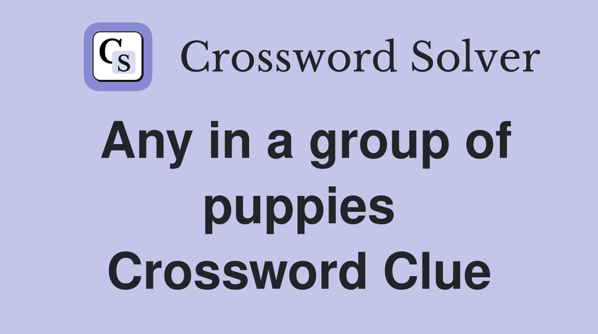 Any in a group of puppies Crossword Clue