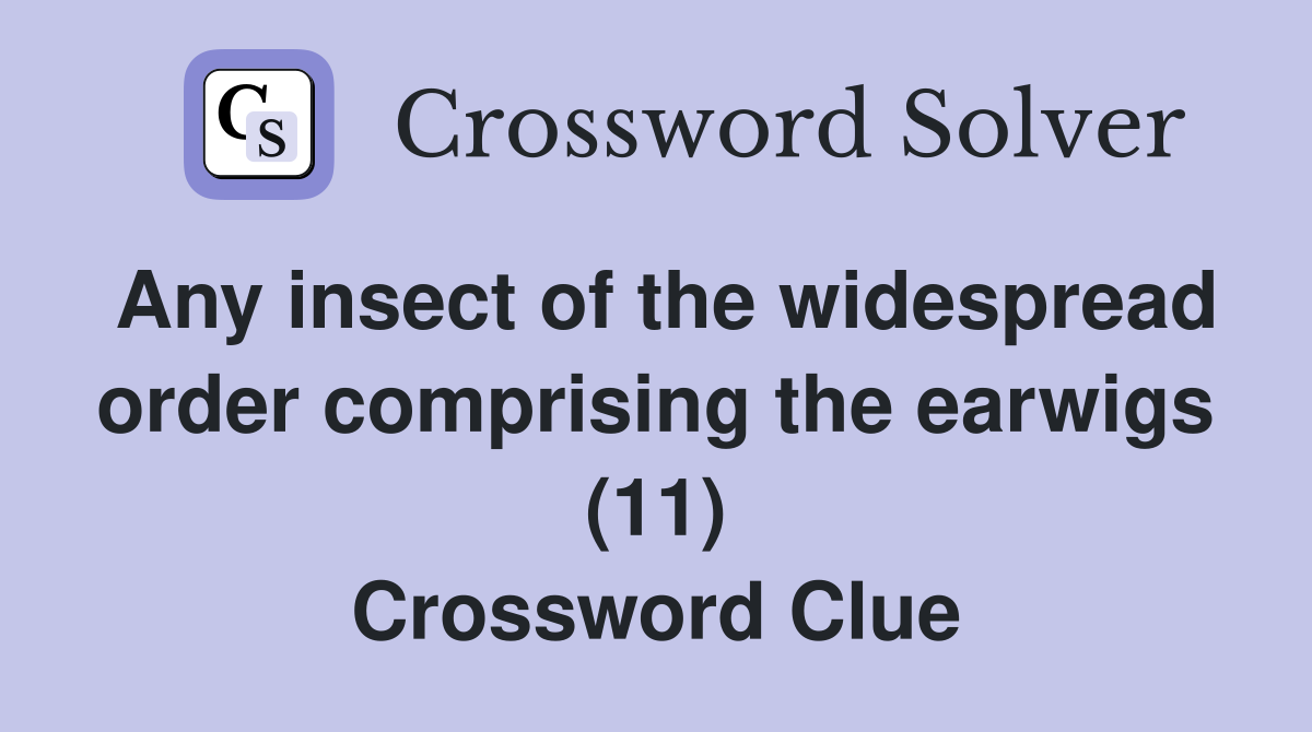 Any insect of the widespread order comprising the earwigs (11) Crossword Clue