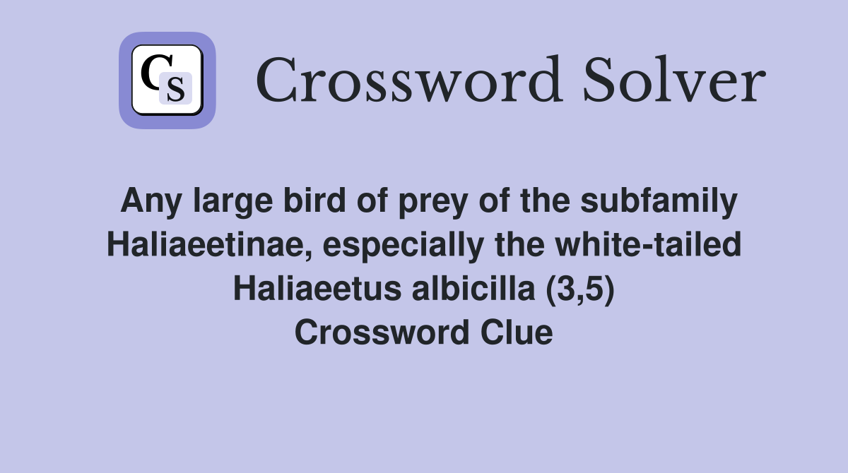 Any large bird of prey of the subfamily Haliaeetinae, especially the white-tailed Haliaeetus albicilla (3,5) Crossword Clue