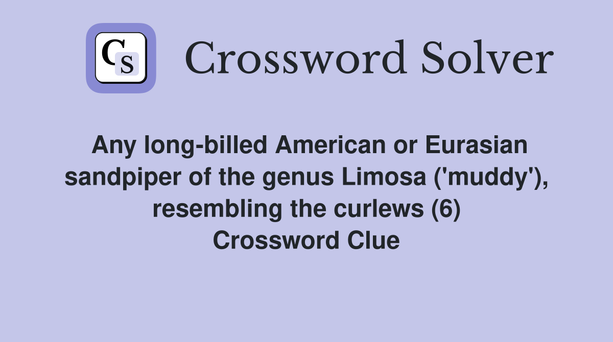 Any long-billed American or Eurasian sandpiper of the genus Limosa ('muddy'), resembling the curlews (6) Crossword Clue