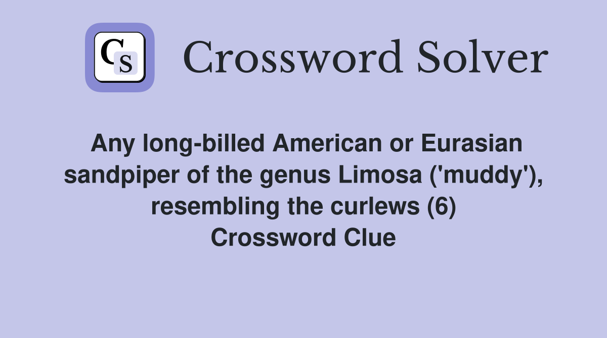 Any long billed American or Eurasian sandpiper of the genus Limosa