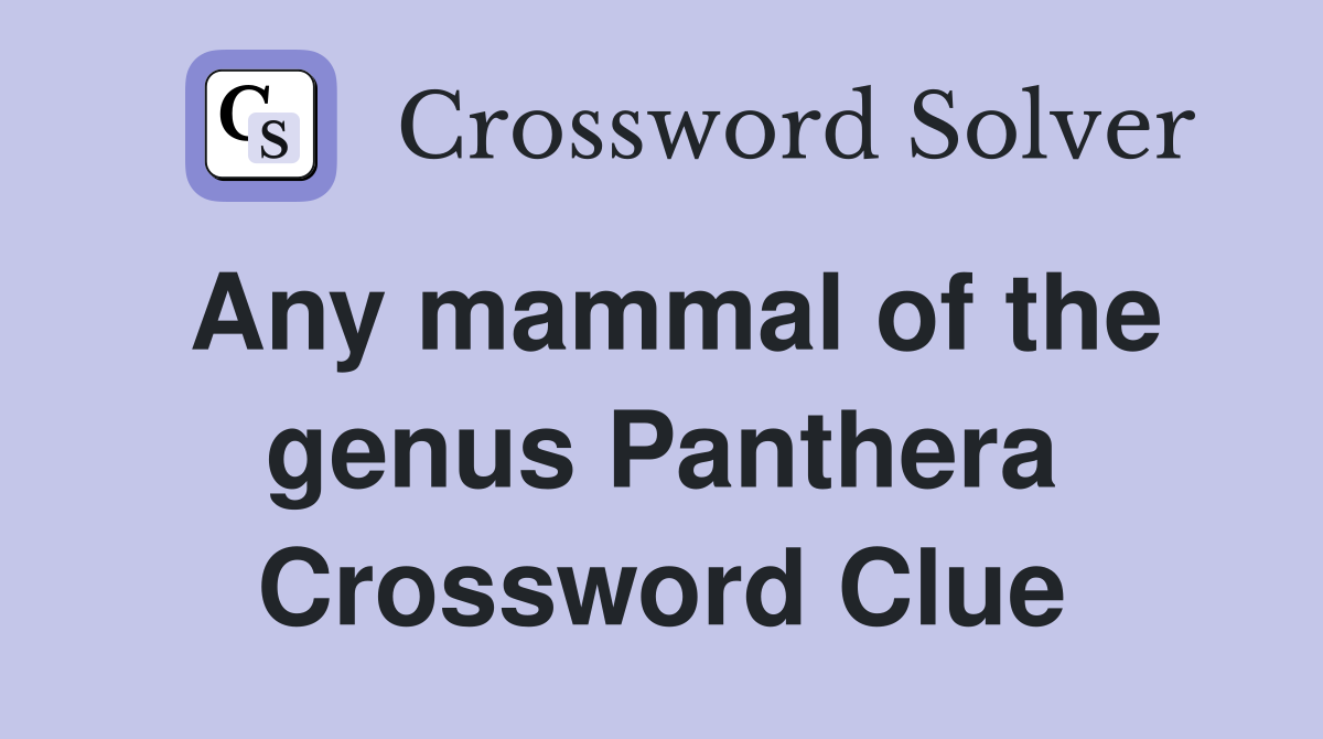 Any mammal of the genus Panthera Crossword Clue