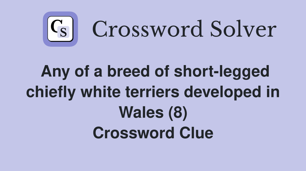 Any of a breed of short-legged chiefly white terriers developed in Wales (8) Crossword Clue