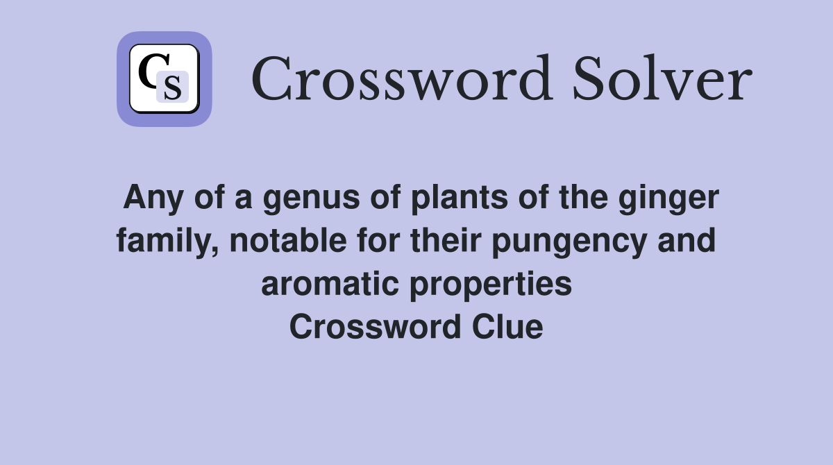 Any of a genus of plants of the ginger family, notable for their pungency and aromatic properties Crossword Clue