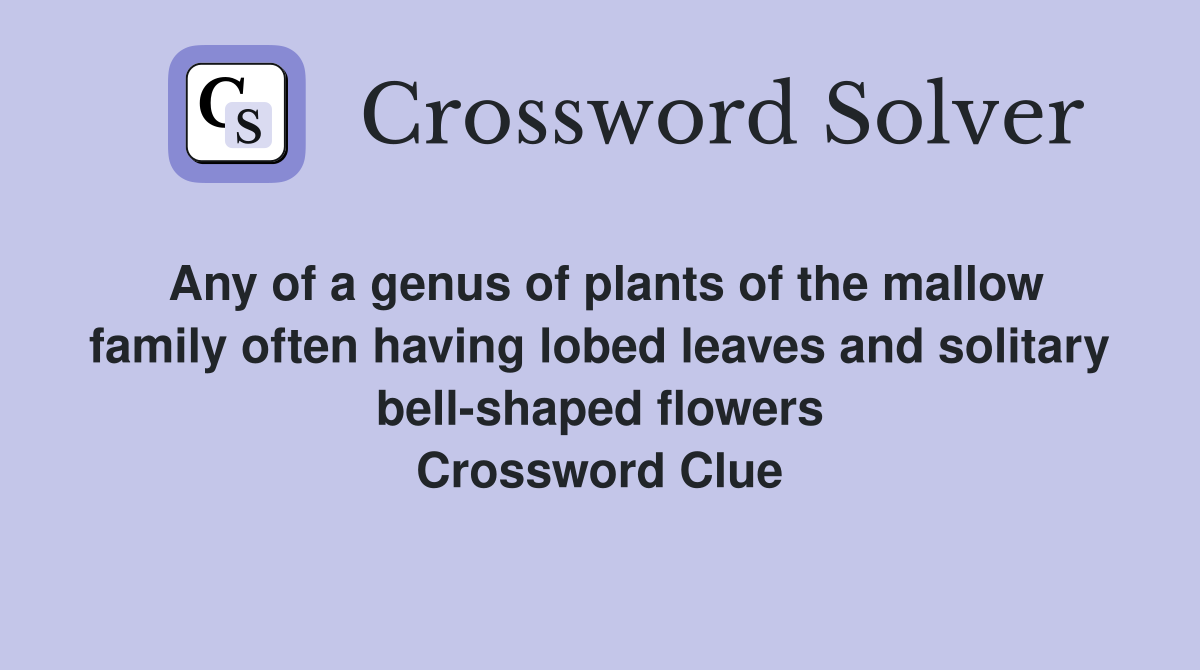Any of a genus of plants of the mallow family often having lobed leaves and solitary bell-shaped flowers Crossword Clue