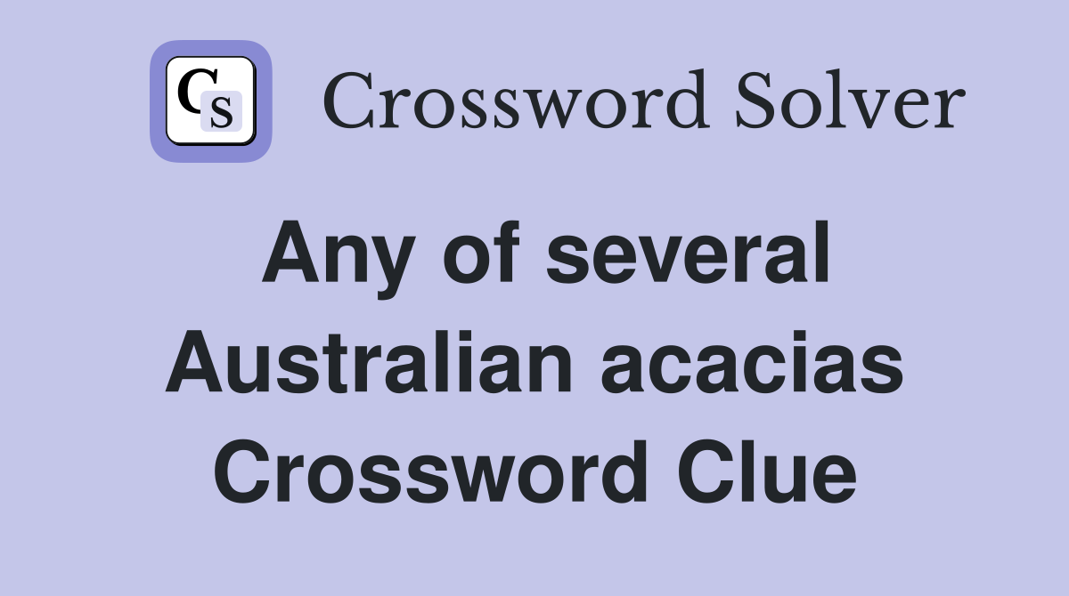Any of several Australian acacias Crossword Clue
