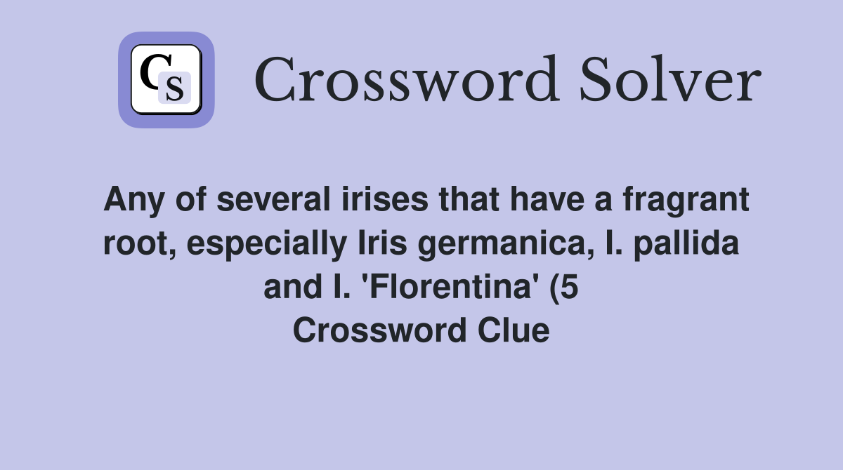 Any of several irises that have a fragrant root especially Iris Any of several irises that have a fragrant root especially Iris