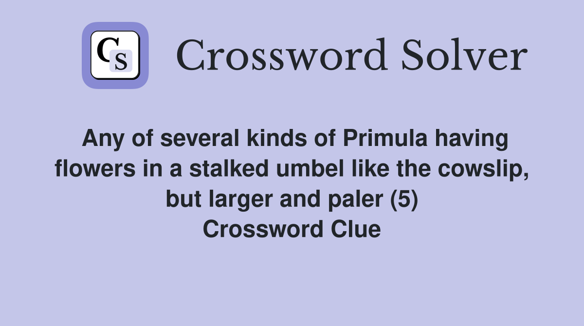 Any of several kinds of Primula having flowers in a stalked umbel like the cowslip, but larger and paler (5) Crossword Clue