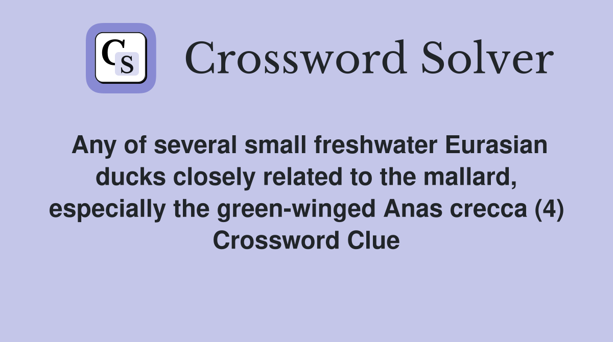 Any of several small freshwater Eurasian ducks closely related to the mallard, especially the green-winged Anas crecca (4) Crossword Clue