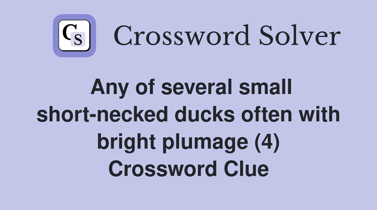 Any of several small short-necked ducks often with bright plumage (4) Crossword Clue
