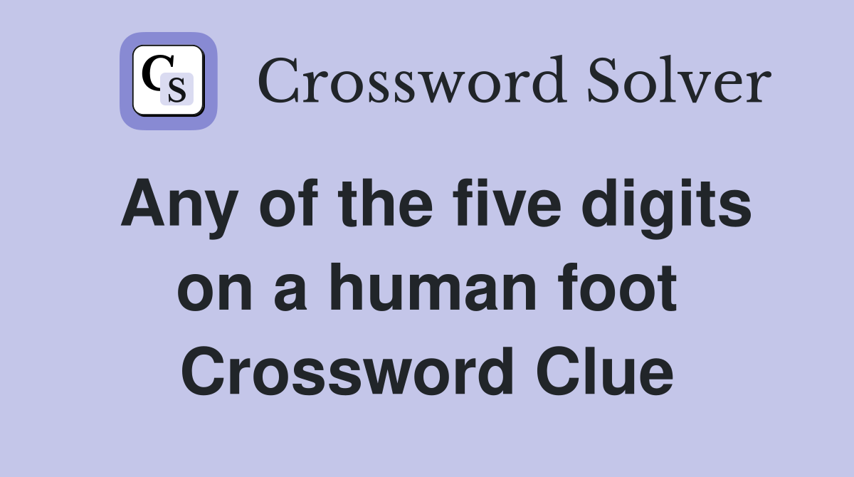 Any of the five digits on a human foot Crossword Clue
