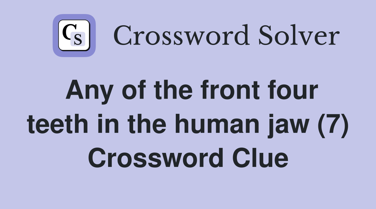 Any of the front four teeth in the human jaw (7) Crossword Clue