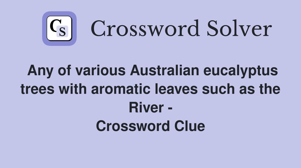 Any of various Australian eucalyptus trees with aromatic leaves such as the River - Crossword Clue