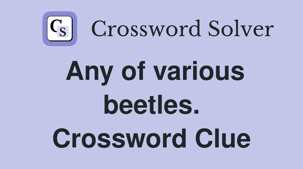 Any of various beetles. Crossword Clue