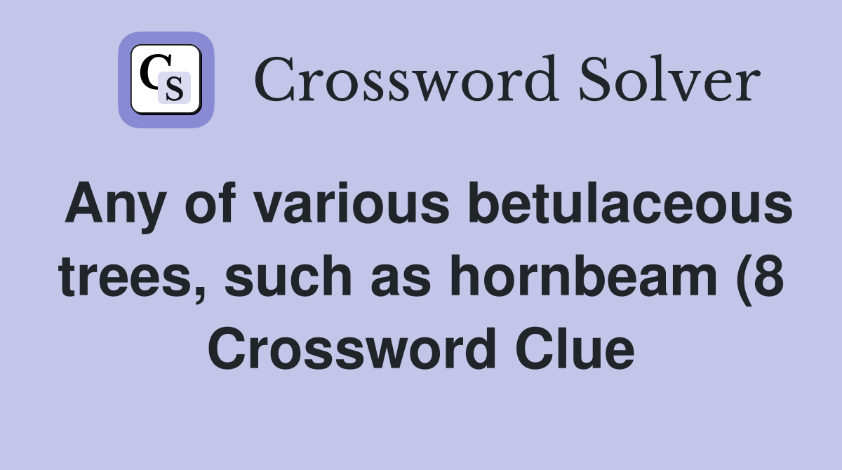 Any of various betulaceous trees such as hornbeam (8) Crossword Clue Any of various betulaceous trees such as hornbeam (8) Crossword Clue