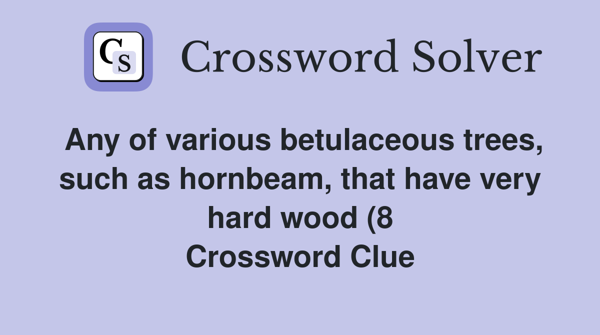 Any of various betulaceous trees such as hornbeam that have very hard Any of various betulaceous trees such as hornbeam that have very hard