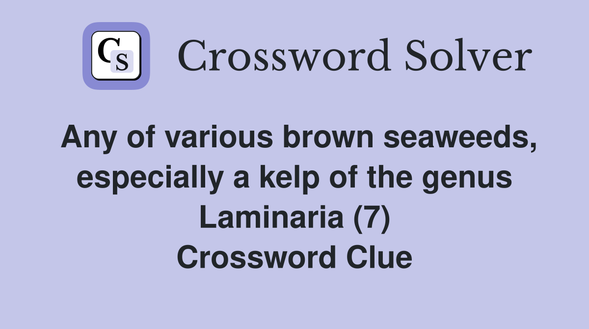 Any of various brown seaweeds, especially a kelp of the genus Laminaria (7) Crossword Clue