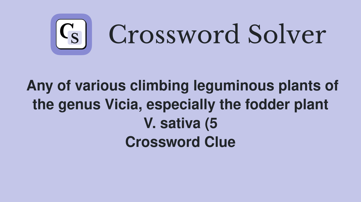 Any of various climbing leguminous plants of the genus Vicia Any of various climbing leguminous plants of the genus Vicia