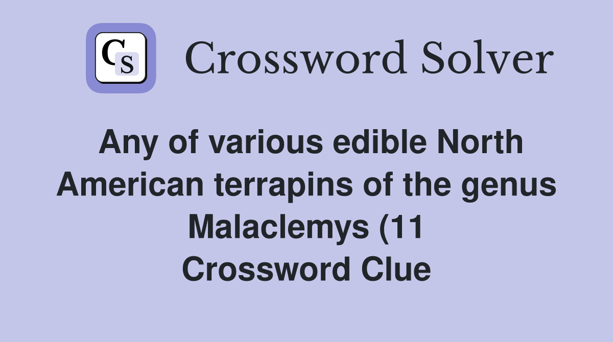 Any of various edible North American terrapins of the genus Malaclemys Any of various edible North American terrapins of the genus Malaclemys