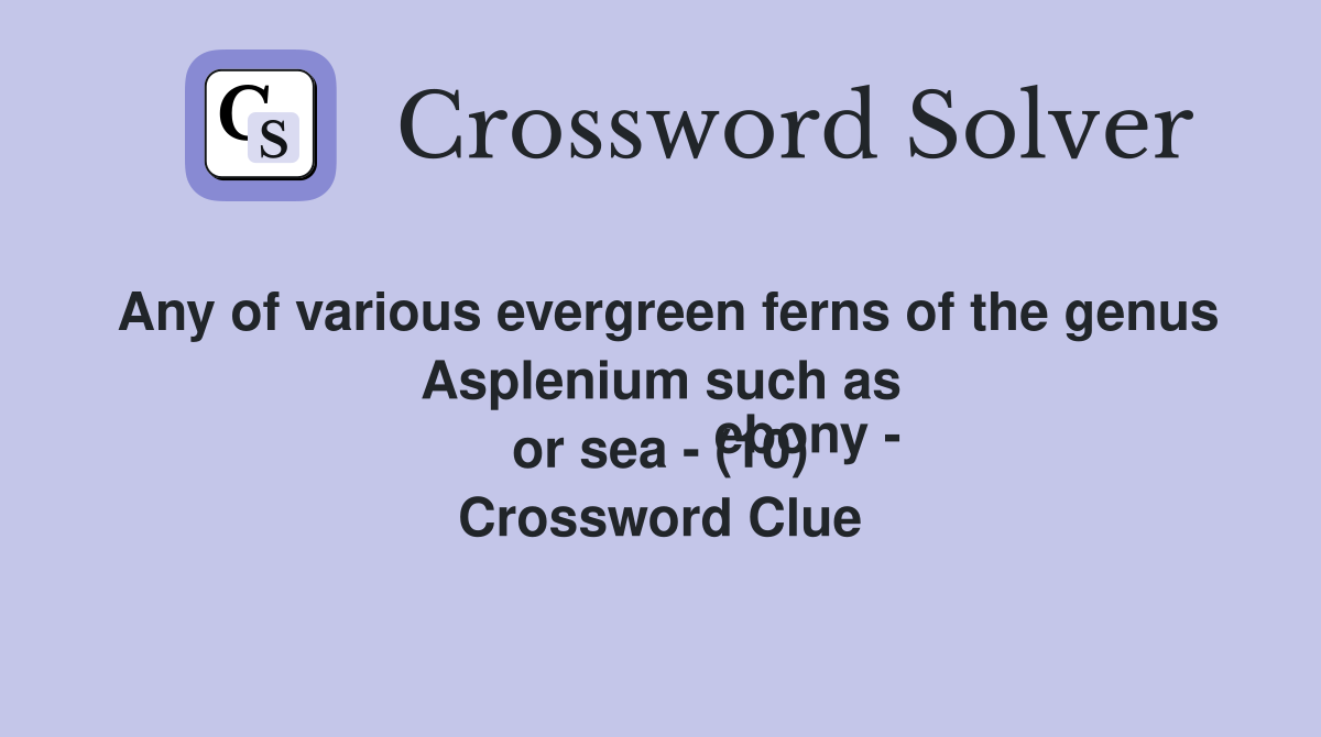 Any of various evergreen ferns of the genus Asplenium such as
                    ebony - or sea - (10) Crossword Clue
