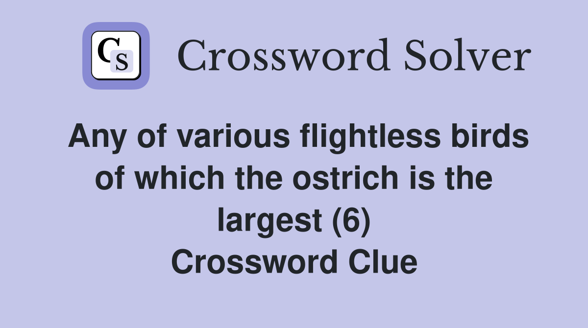 Any of various flightless birds of which the ostrich is the largest (6) Crossword Clue